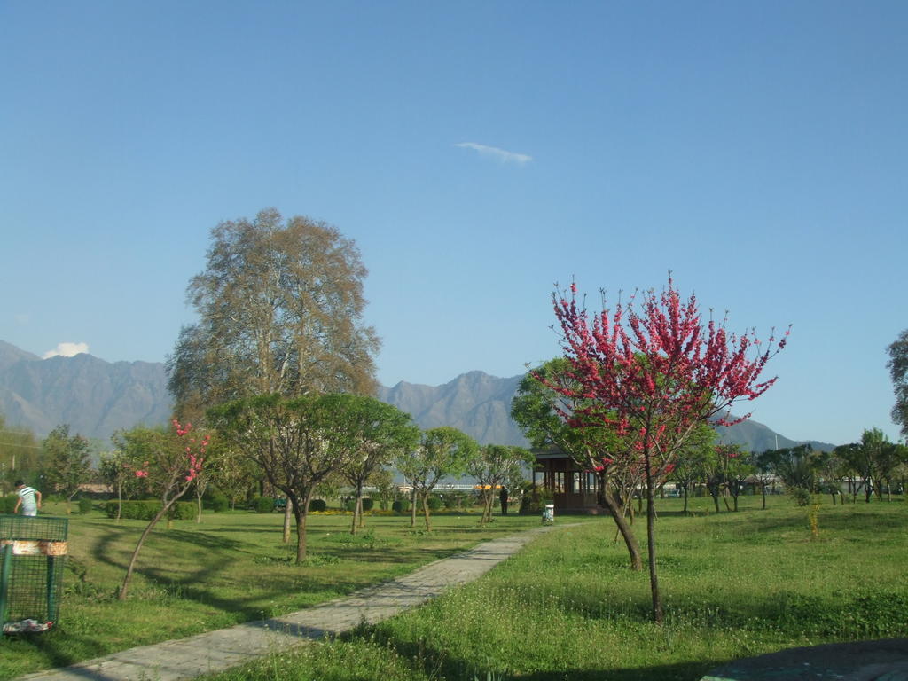 Srīnagar Houseboat Lily Of Nageen מראה חיצוני תמונה